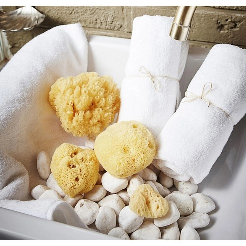 Natural Sea Sponge, 2ea, 1pack - Image 2
