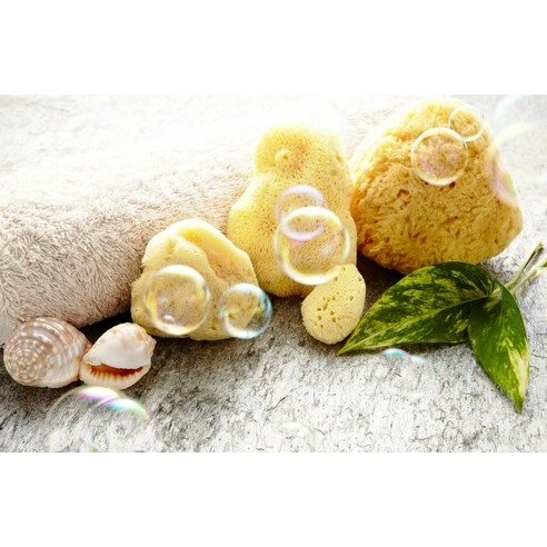Natural Sea Sponge, 2ea, 1pack - Image 3