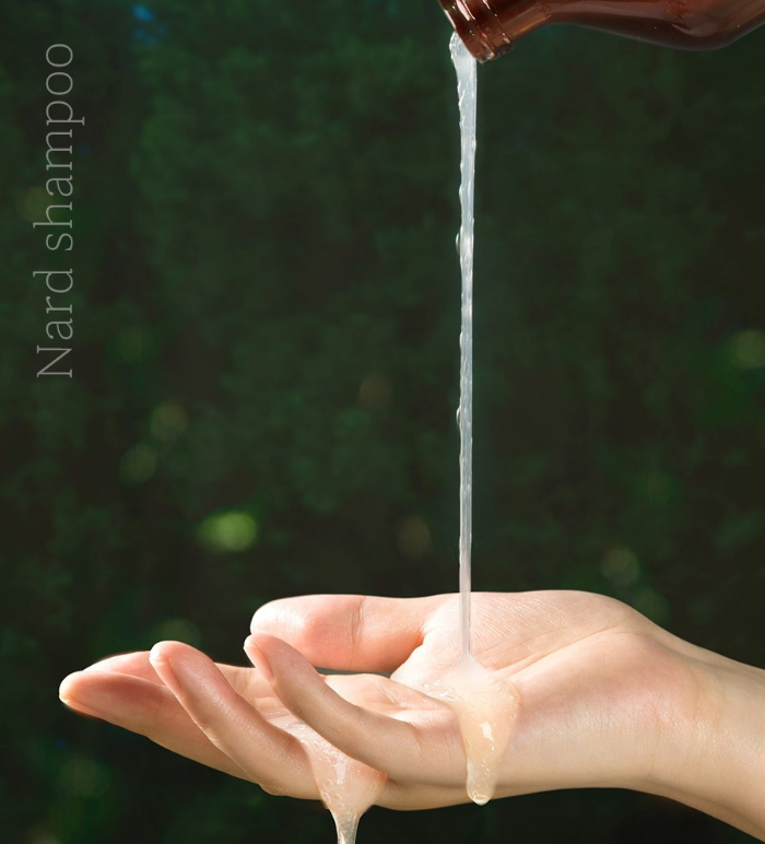 Shampoo [Signature Scent], 500ml, 1pack - Image 3