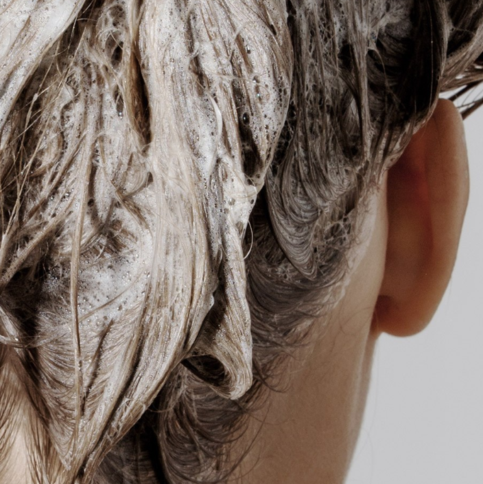 Shampoo [Signature Scent], 500ml, 1pack - Image 2