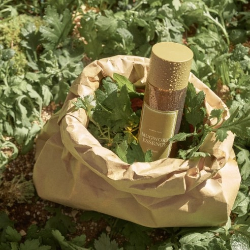 Mugwort Essence, 150ml, 1pack - Image 3