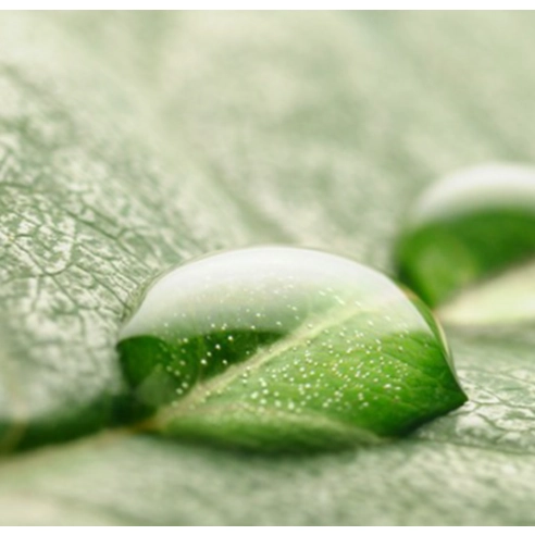 SOO O Serum - Image 2