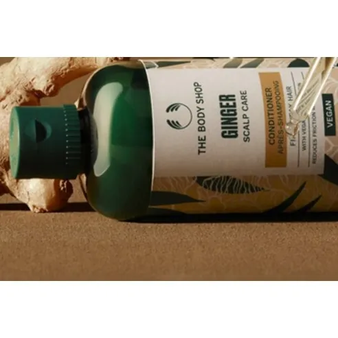 Ginger Scalp Care Conditioner, 250ml, 1pack - Image 4