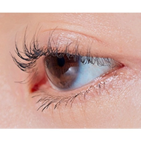 Kill Lash Superproof Mascara [Long Curling] - Image 4