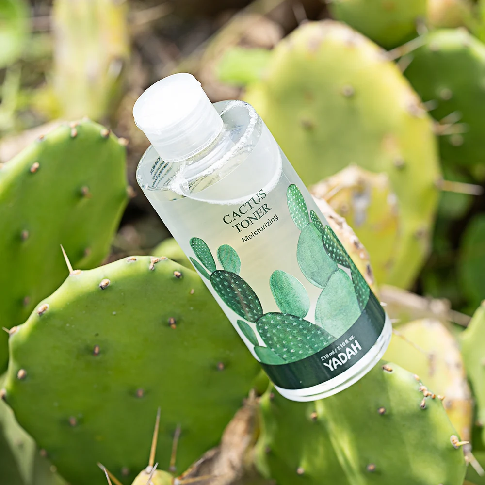 Cactus Toner, 210ml, 1pack - Image 2