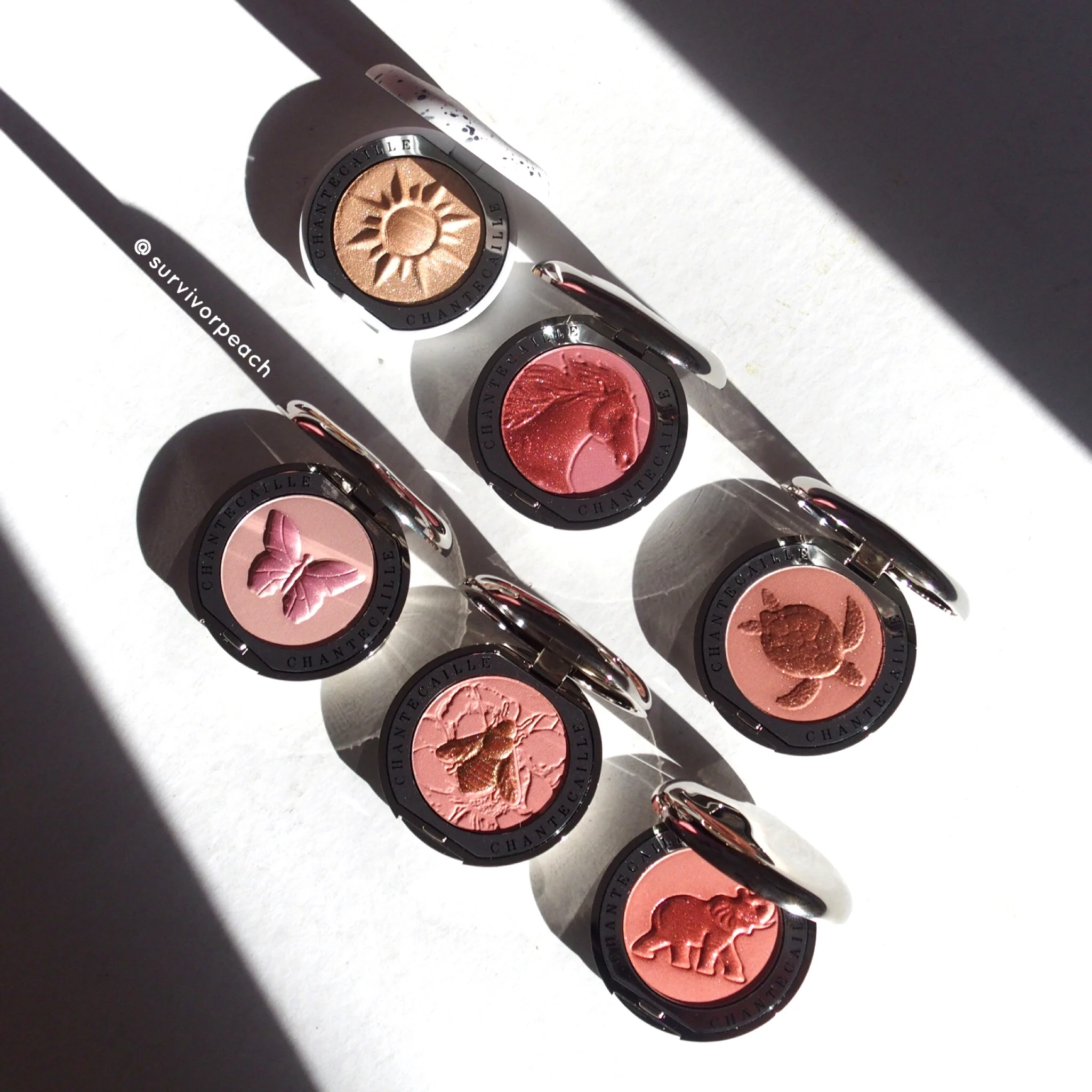 Philanthropy Cheek Shade, 2.5g, Bliss With Butterfly, 1pack - Image 2