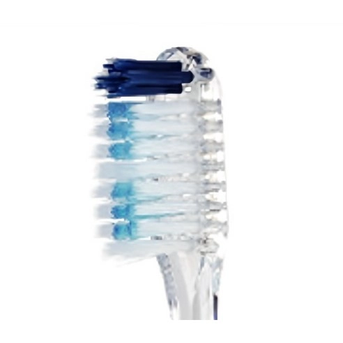 Standard Toothbrush - Image 4