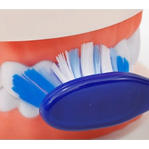 Nine Motion Toothbrush - Image 5