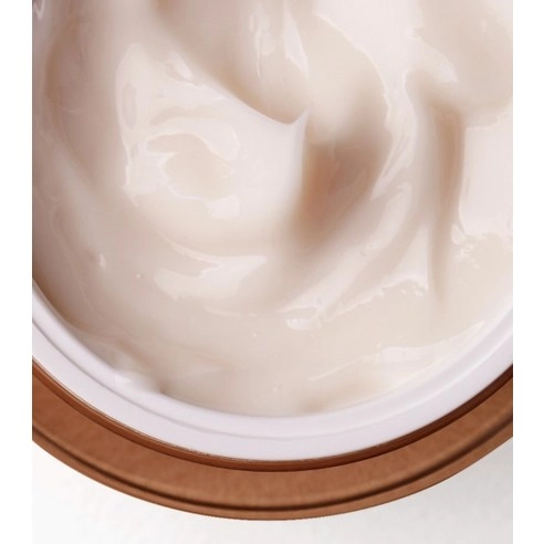 Bifida Biome Concentrate Cream, 50ml, 1pack - Image 7