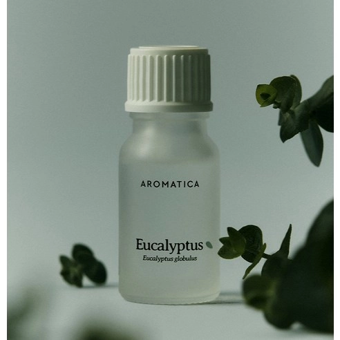 Eucalyptus Essential Oil, 10ml, 1pack - Image 2