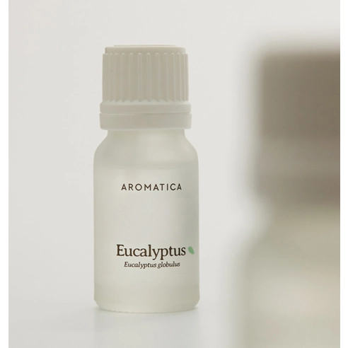Eucalyptus Essential Oil, 10ml, 1pack - Image 3