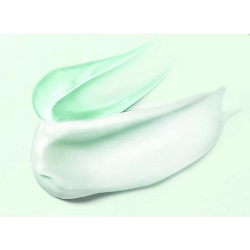 Natural Recipe Tea Tree Oil Shampoo, 1,000ml, 1pack - Image 4