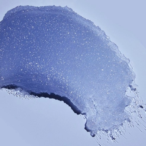 Shea Sugar Scrub [Exotic Bloom], 510g, 1pack - Image 4