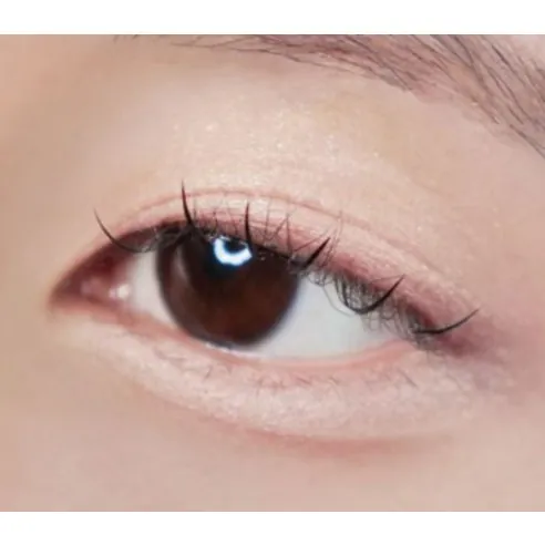 Blur Finish Shadow Palette, 6g, 705 Mary Shelley, 1pack - Image 3