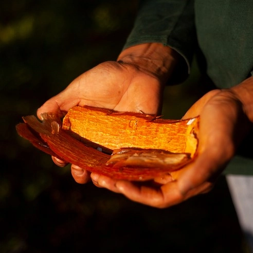 Quinine Edelweiss Shampoo, 400ml, 1pack - Image 4