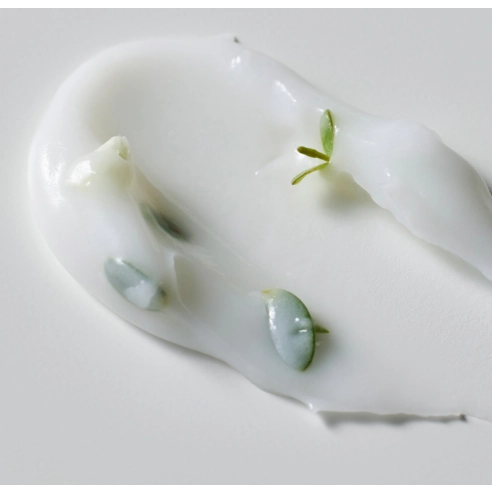 Green Flavonoid 3.0 Cream, 50ml, 1pack - Image 6