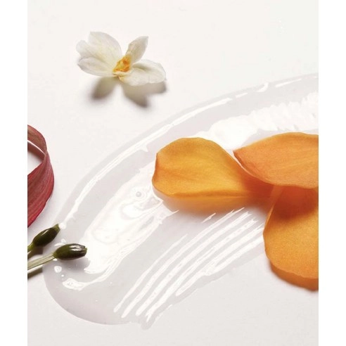 Perfume Edition Scalp Strengthening Shampoo [Blanche & Woody], 400ml, 1pack - Image 2