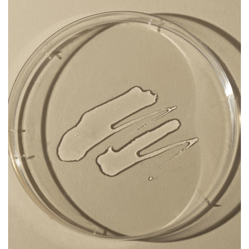Propolis Vitamin C, B3, B5, B6 Toner - Image 4