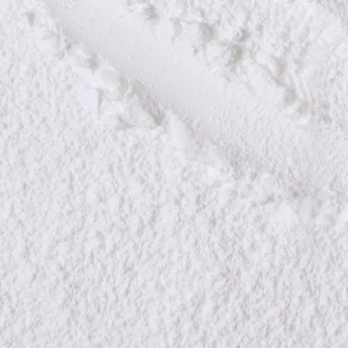 Artclass by Rodin Finish Setting Powder, 10g, 1pack - Image 2