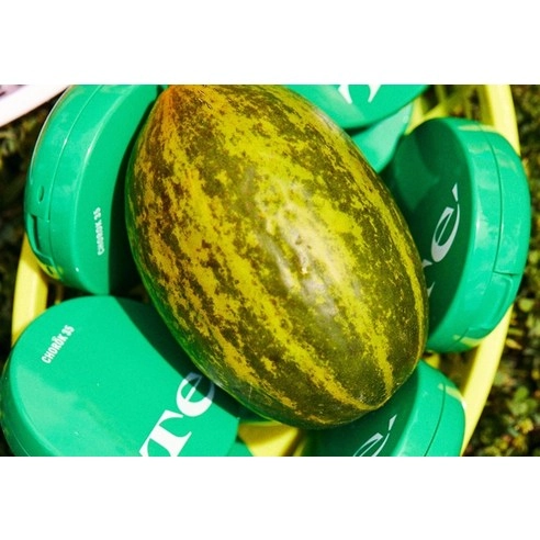 Green 35 Refit Sun Cushion, 14g, 1pack - Image 5