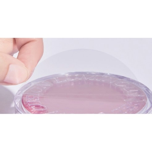 My Luminous Gel Glow Cushion [SPF40/PA++], 15g, 02 Warm Beige, 1pack - Image 5