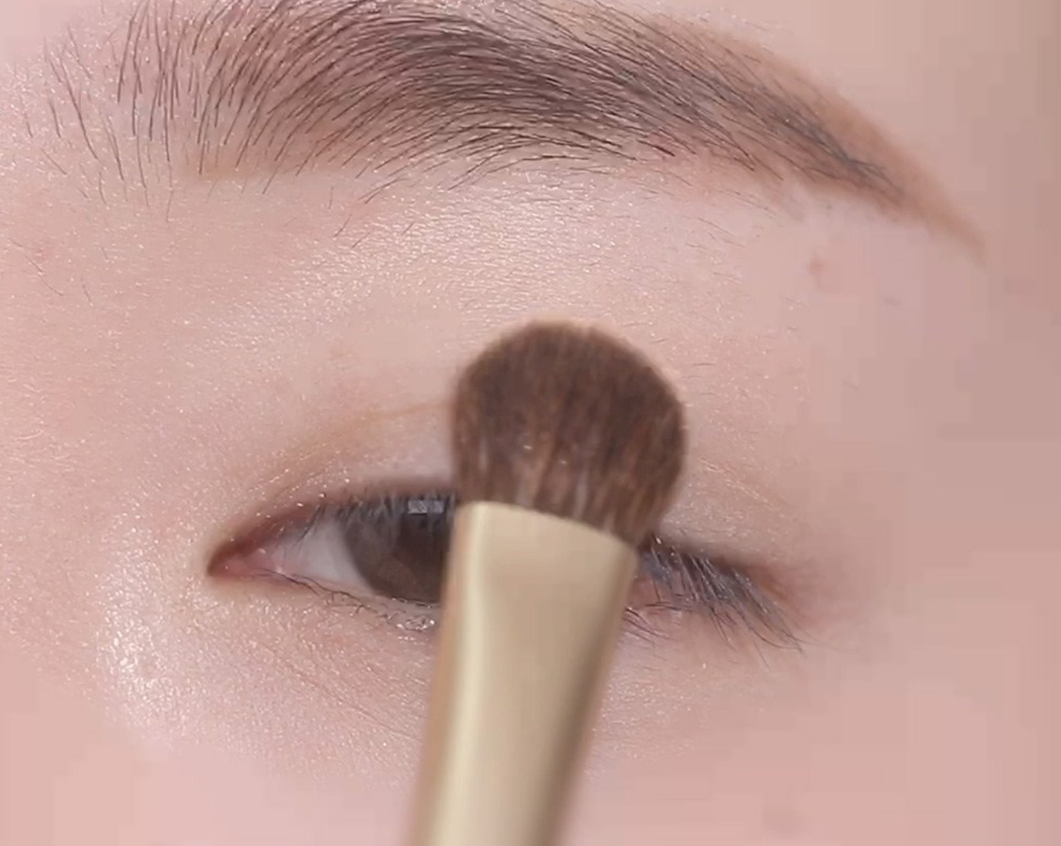 Base Shadow Brush, 1pack - Image 2