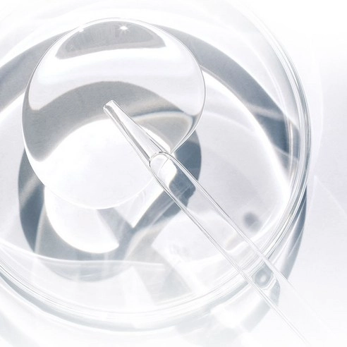 Concentrated Ginseng Brightening Spot Ampoule, 20g, 1pack - Image 5