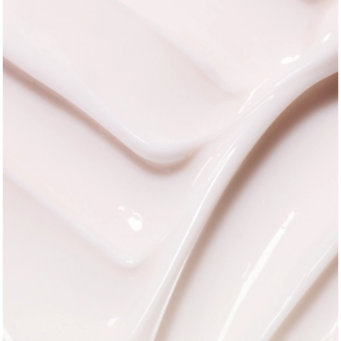 Cauliflower Mushroom Vital Cream, 60ml, 1pack - Image 4