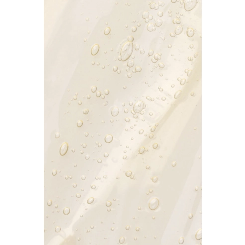 Perfume Shampoo [Fresh Mandarin & Basil] - Image 4