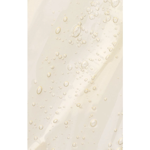 Perfume Shampoo [Wild Moss] - Image 3