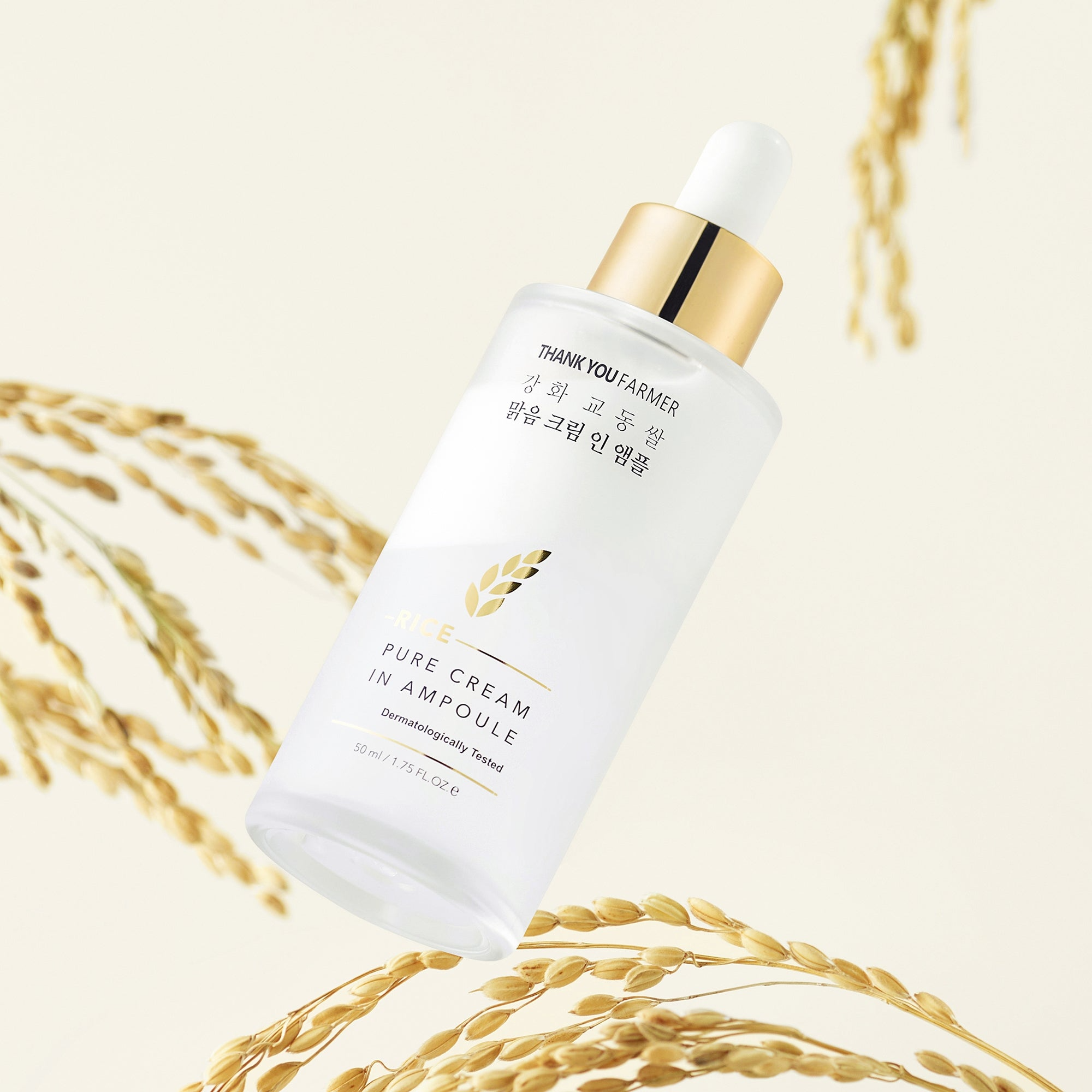 Ganghwa Gyodong Rice Clear Cream in Ampoule, 50ml, 1pack - Image 2