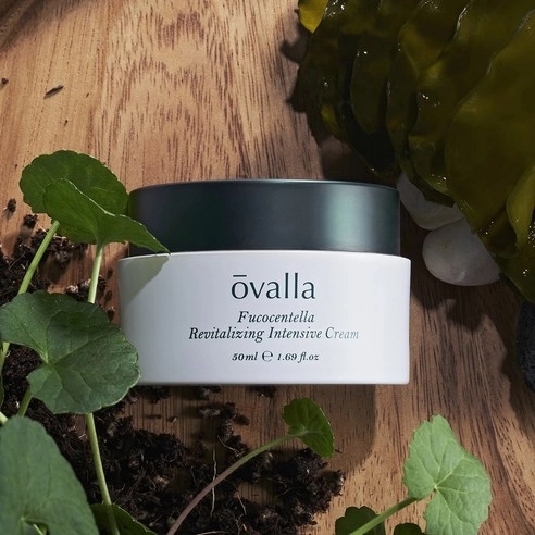 Fucocentella Revitalizing Intensive Cream, 50ml, 1pack - Image 2