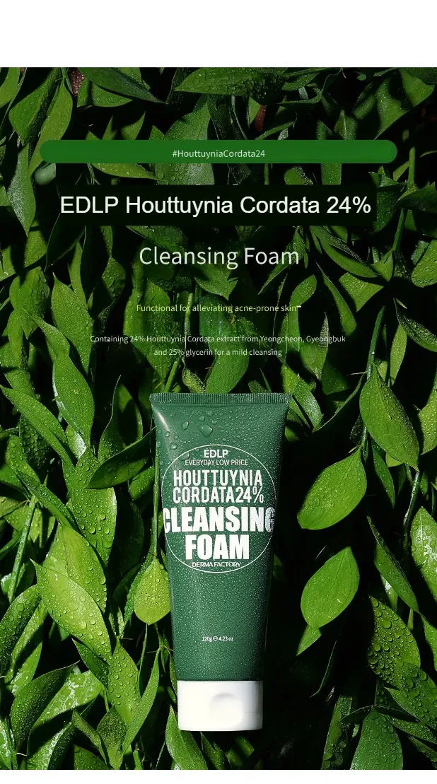 EDLP Houttuynia Cordata 24% Cleansing Foam, 120g
