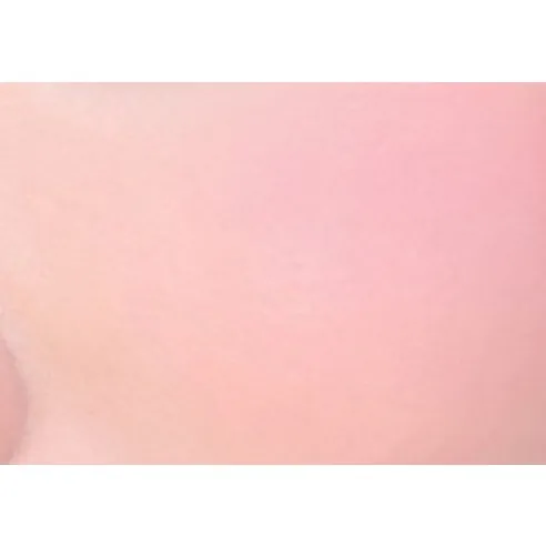 Flush Blush, 6g, 03 Sugar Rose, 1pack - Image 2