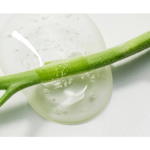 Green Flavonoid 5.0 Serum, 30ml, 1pack - Image 7