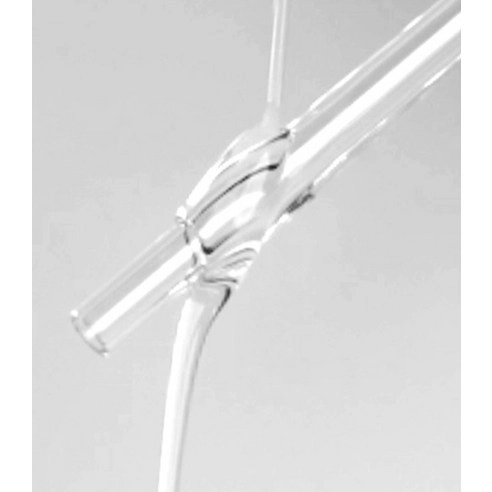 Camellia Daily Care Vitamin Hair Oil, 123ml, 1pack - Image 2