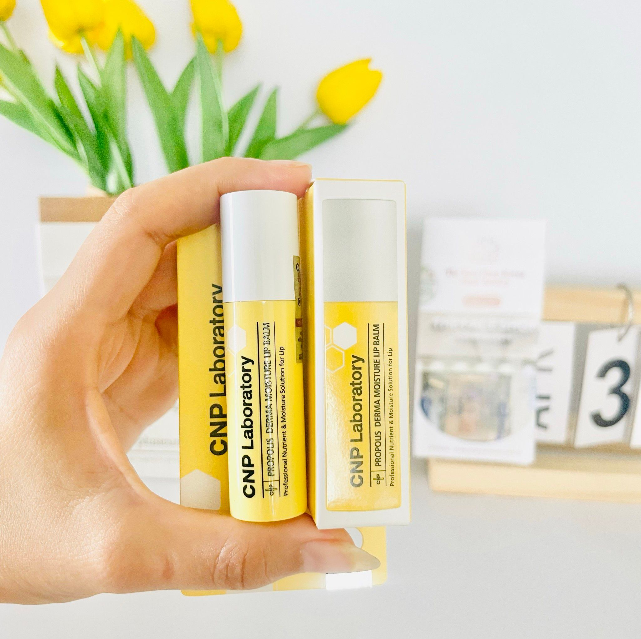 Propolis Derma Moisture Lip Balm, 4g, 1pack - Image 3