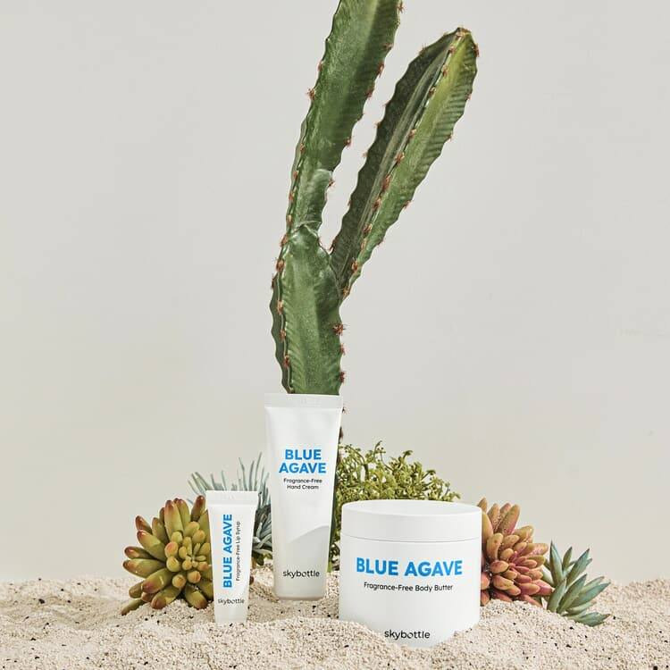 Fragrance Free Blue Agave Body Butter, 290ml, 1pack - Image 2