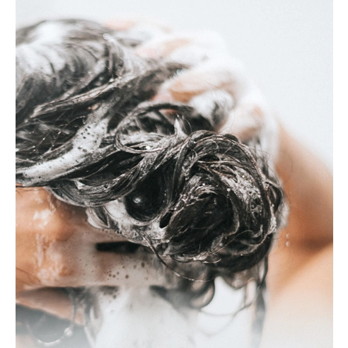 Original Shampoo [White Musk], 1,000ml, 1pack - Image 6