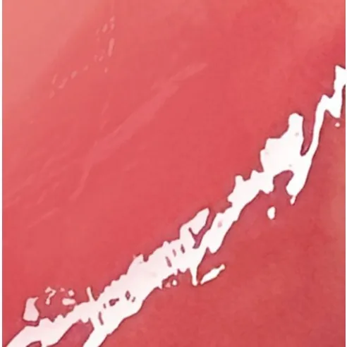 Lip Monster Super Glossy, 1.6g, G03, 1pack - Image 3