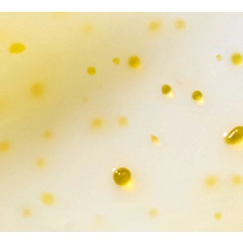 Vitamin C Green Tea Enzyme Brightening Cream, 50ml, 1pack - Image 3