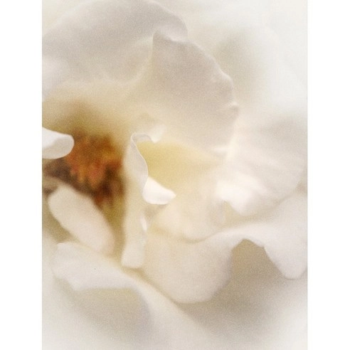 Signature Shield Cream, 100ml, 1pack - Image 3