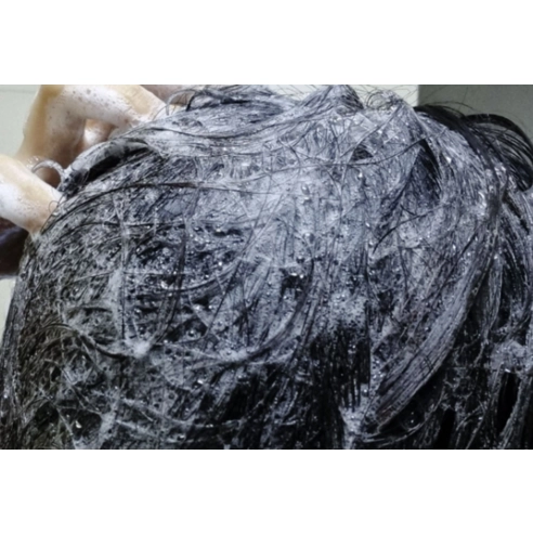 Kelp Seaweed Herb Scalp Clinic Shampoo, 500ml, 1pack - Image 3