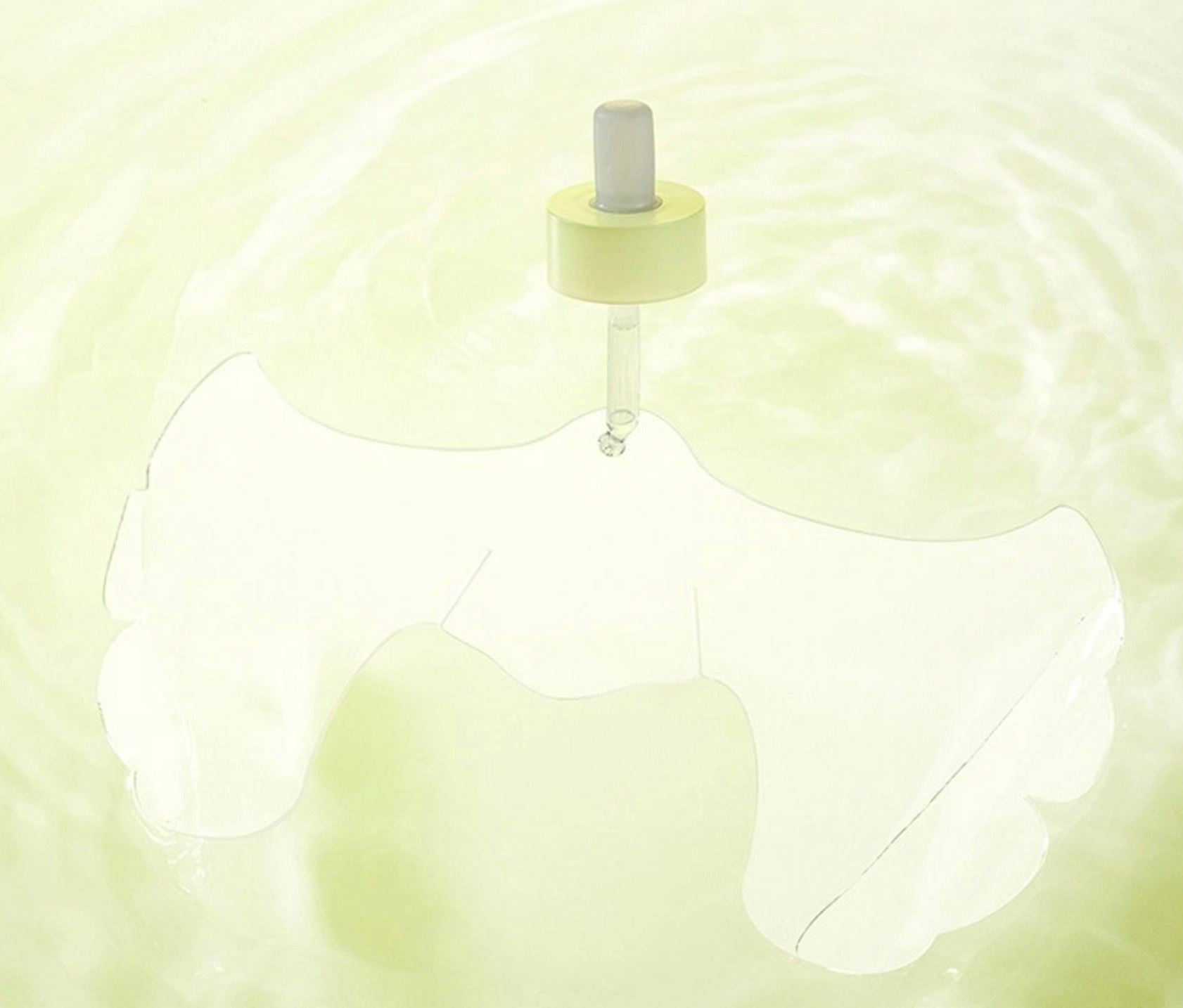 Bodeureun Leaf Pore Fit Mask, 5ea, 1pack - Image 2