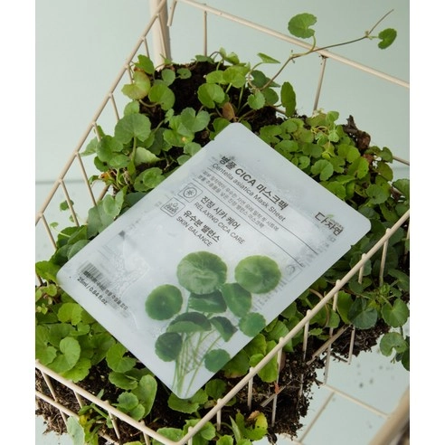 Centella asiatica Mask Sheet, 13ea, 1pack - Image 3