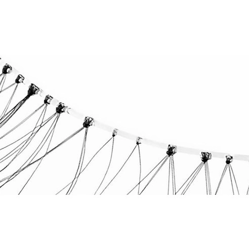 The Classic Lashes [04 Natural], 2ea, 1pack - Image 5