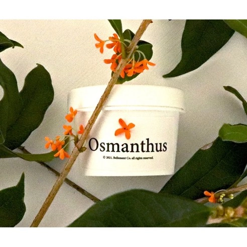 Osmanthus Intensive Hand Balm, 50g, 1pack - Image 2
