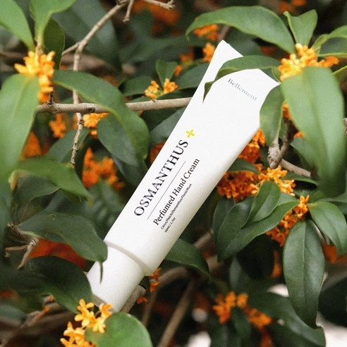 Osmanthus Perfumed Hand Cream, 50g, 1pack - Image 3