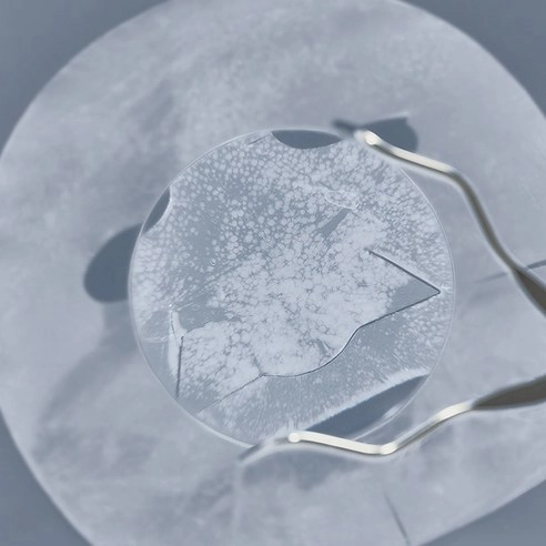 EGF Exo Peptide Pore Sebum Mask, 4ea, 1pack - Image 2