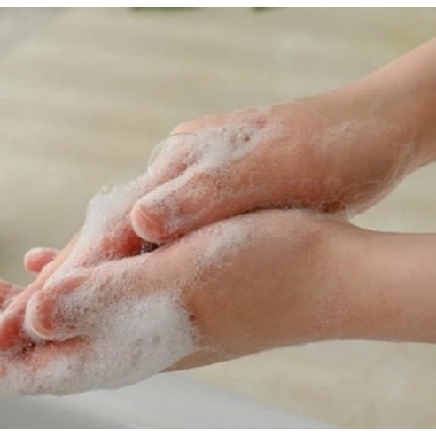 Vegan Perfumed Hand Wash [Santal Wood], 300ml+300ml - Image 3